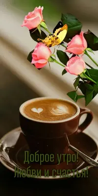F6848492-C472-4273-AC35-D654CA860C61.webp