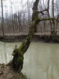 2021-03-04 14-53-38_copy_768x1024.webp