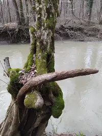 2021-03-04 14-54-04_copy_768x1024.webp