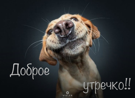 IMG_20220214_063227.webp