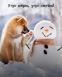 IMG_20220217_050532.webp