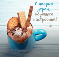 IMG_20220218_050032.webp