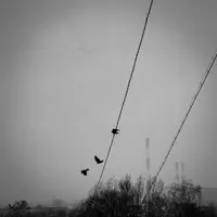 04011161-1784-43F3-A767-CB9D03A8FB76.webp