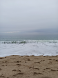 IMG_20220221_024908.webp