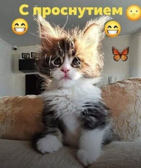 IMG_20220221_045301.webp