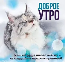 18-22-49-11.webp