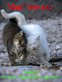 1645455633103.webp