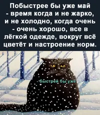 08-59-29.webp