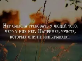 5665BE62-9B91-411F-A697-620F82350EB1.webp