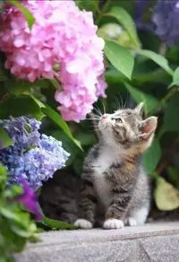 IMG_20220223_073751.webp