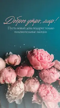 2c6a4a1f508bed8a2860819fd3c9cef9.webp