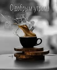 E0FA93B3-53D6-47BB-A0E2-7349081791FE.webp