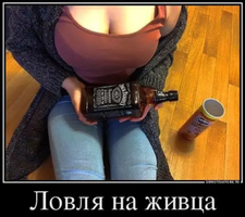 IMG_20220224_051042.webp