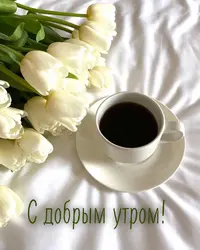 2310B9D6-D031-4F1B-8E2A-6D2227899D42.webp