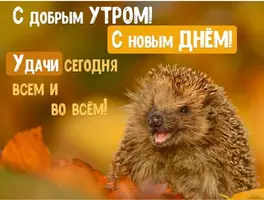 22-09-11-55.webp