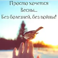 26-21-43-09.webp