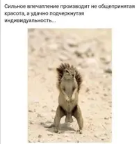IMG_20220228_005159.webp