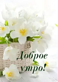 d4d95878eab0ebaf5931d1605a893ae2.webp