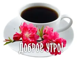 76971C59-FF35-4B6E-AADB-20DE04BBF76F.webp