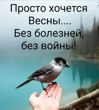 IMG_20220228_190424.webp