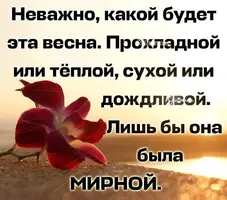 28-18-50-31.webp