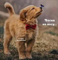 IMG_20220228_210417.webp