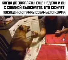 1643959135187679653.webp