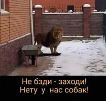 1644873190114486892.webp