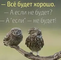 27-15-16-11.webp