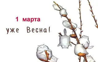 martovskie kotiki.webp