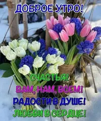 23-21-27-33.webp
