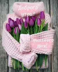 21f27e5ad6ba029207b0bbd9dcb54271.webp