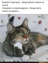 05607daf9af7b351bb2cdbeac7306693.webp