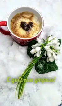 03ABB088-3979-4A9D-A43D-C1EB1CAD6348.webp