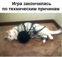 487d8eb2b2ee9996443e212ffe8e94fa.webp