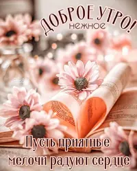 03-02-08-34-45.webp