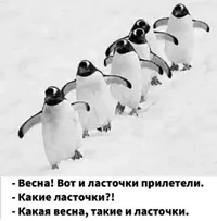 Screenshot_2022-03-04-08-33-41-46_1c337646f29875672b5a61192b9010f9__01.webp