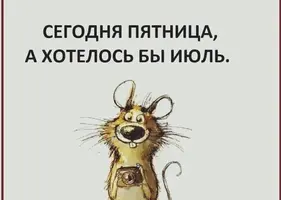 03-04-08-39-25.webp
