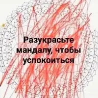 Screenshot_20220302-192226_Instagram.webp