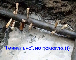 1646450567033.webp