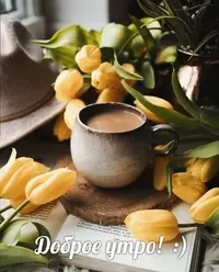 96A75910-1CA6-41C4-A8CC-3B431E27329F.webp