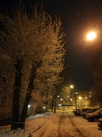 1646503096058.webp