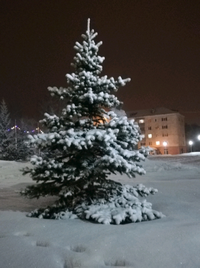 1646503120224.webp