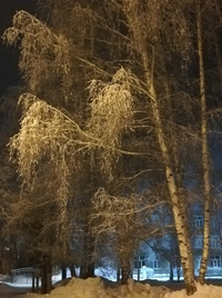 1646503106540.webp