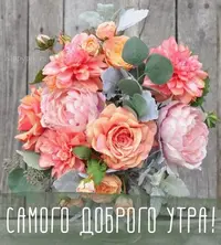 5bf511a8be1218afa7565fad68aaf765.webp