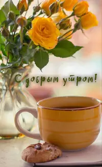 4F52ABAA-8E9E-4BE4-A86E-007D26B0732F.webp