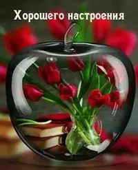 i (14).webp