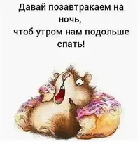 03-06-08-22-06.webp
