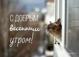 487e2c1f0916740603ea62f4fa9a7130.webp