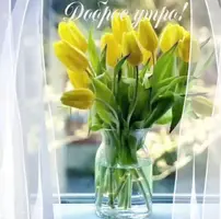 Screenshot_20220307-204429_Telegram.webp